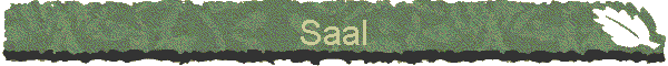 Saal